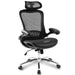 Office Chair - Ergonomic Mesh Chair Computer Chair Home Executive Desk Chair Comfortable Reclining Swivel Chair High Back with Wheels and Adjustable Headrest for Teens/Adults (Black) image